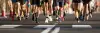 /360 f 234657662 ljh91teg0wkyxyq09i8lwjocvmj2rbhs4322.webp