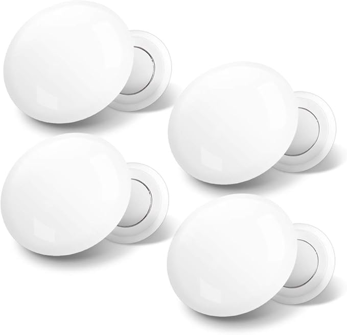 Imanes Porta dorsal1