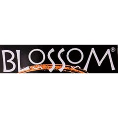 Blossom
