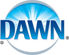 Dawn