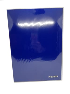 CARP PLASTIFICADA SIN GUSANO COLORES