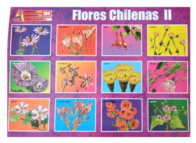 LAMINAS PARA RECORTAR