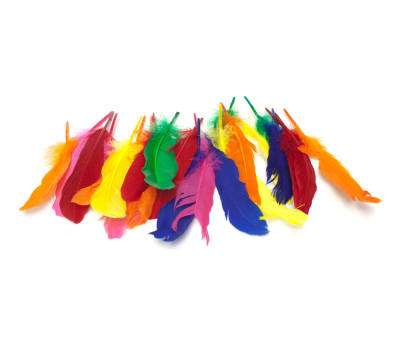 PLUMAS COL SURTIDOS NILSA