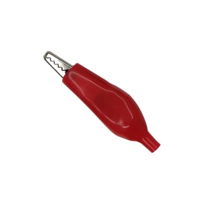 CAIMAN ROJO