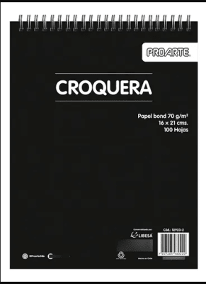 CROQUERA 16X21 CM 100H PROARTE