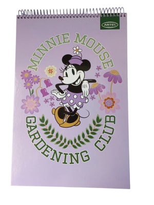 CROQUERA MINNIE SPRING 80H 21X32