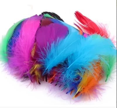 SET PLUMAS COL SURT 28 UNID