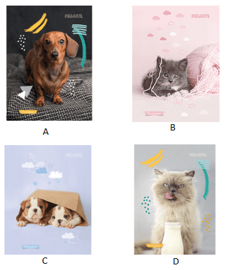 CUADERNO ANIMALES ADORABLES 8VA 120 HJS 5mm