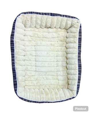 CAMA KELI RECTANGULAR CON RAYAS TALLA 31