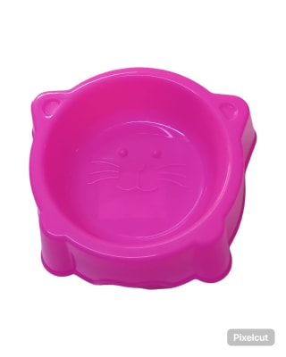 KELI GATO ECONOMICO1