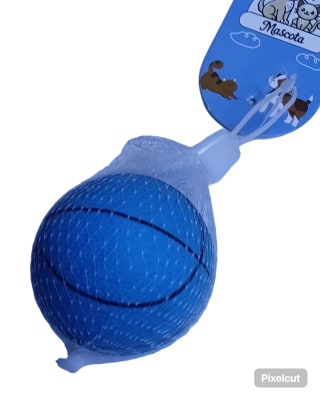 KELI PERRO PELOTA DE BASKET1