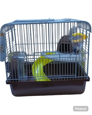 KELI HAMSTER 27*21*261