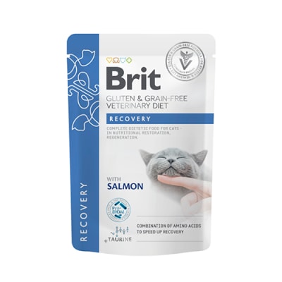 BRIT GRAIN FREE VET DIETS CAT RECOVERY FILLETS IN GRAVY POUCH 85 G1