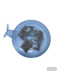 KELI GRASS PARA GATO 18*14.5*6 CM