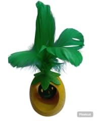KELI PIÑA CON PLUMA