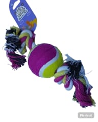 KELI PERRO PELOTA CON SOGA CORTA
