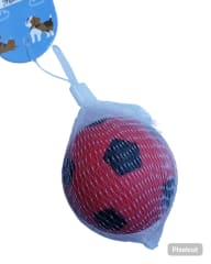 KELI PERRO PELOTA DE FUTBOL