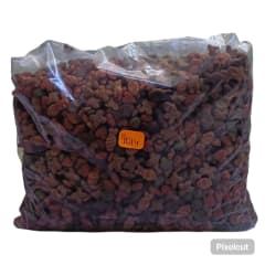 RICOCAT ADULTO ESTERILIZADO 500 GR