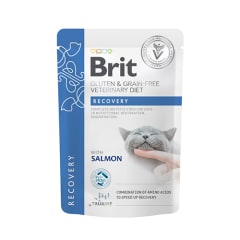 BRIT GRAIN FREE VET DIETS CAT RECOVERY FILLETS IN GRAVY POUCH 85 G