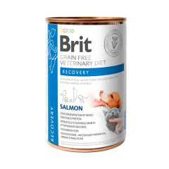 BRIT GRAIN FREE VET DIETS DOG RECOVERY  LATA 400 GR