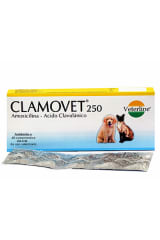 VETERLINE ANTIBIÓTICO CLAMOVET/AMOXICILINA-AC.CLAV. 250MG 1 TAB
