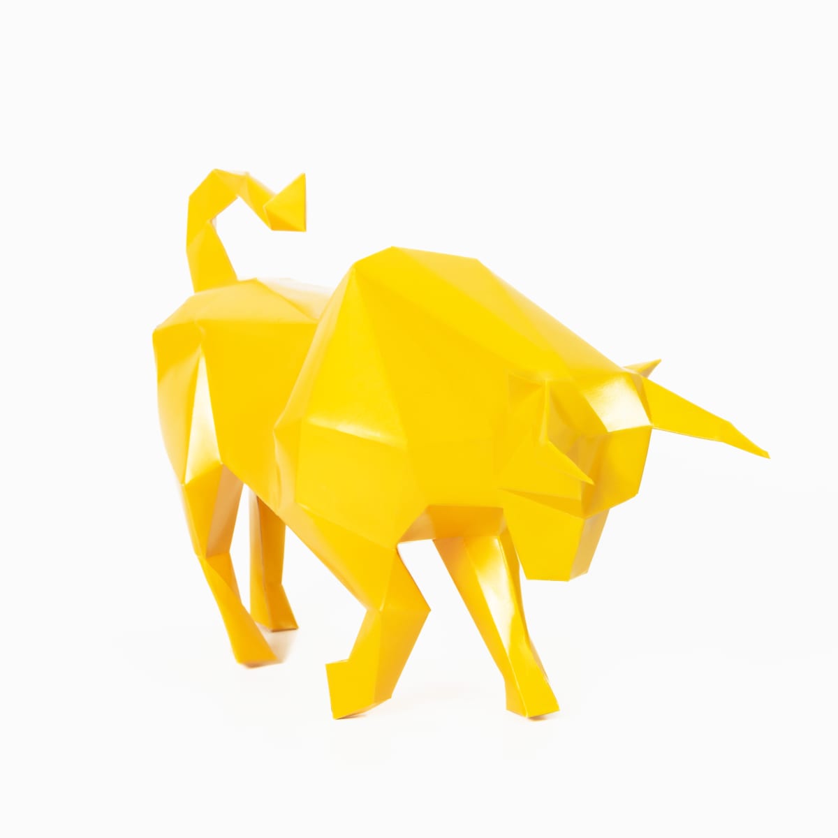TORO DE LIDIA1