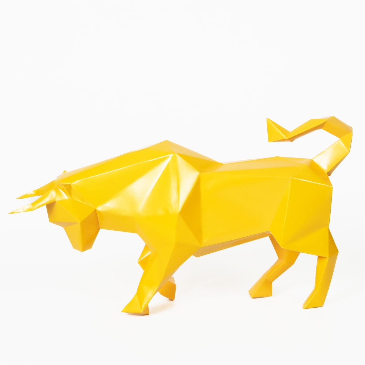 TORO DE LIDIA4