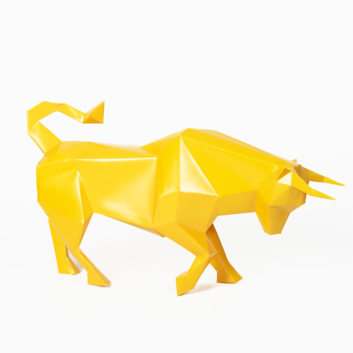 TORO DE LIDIA7
