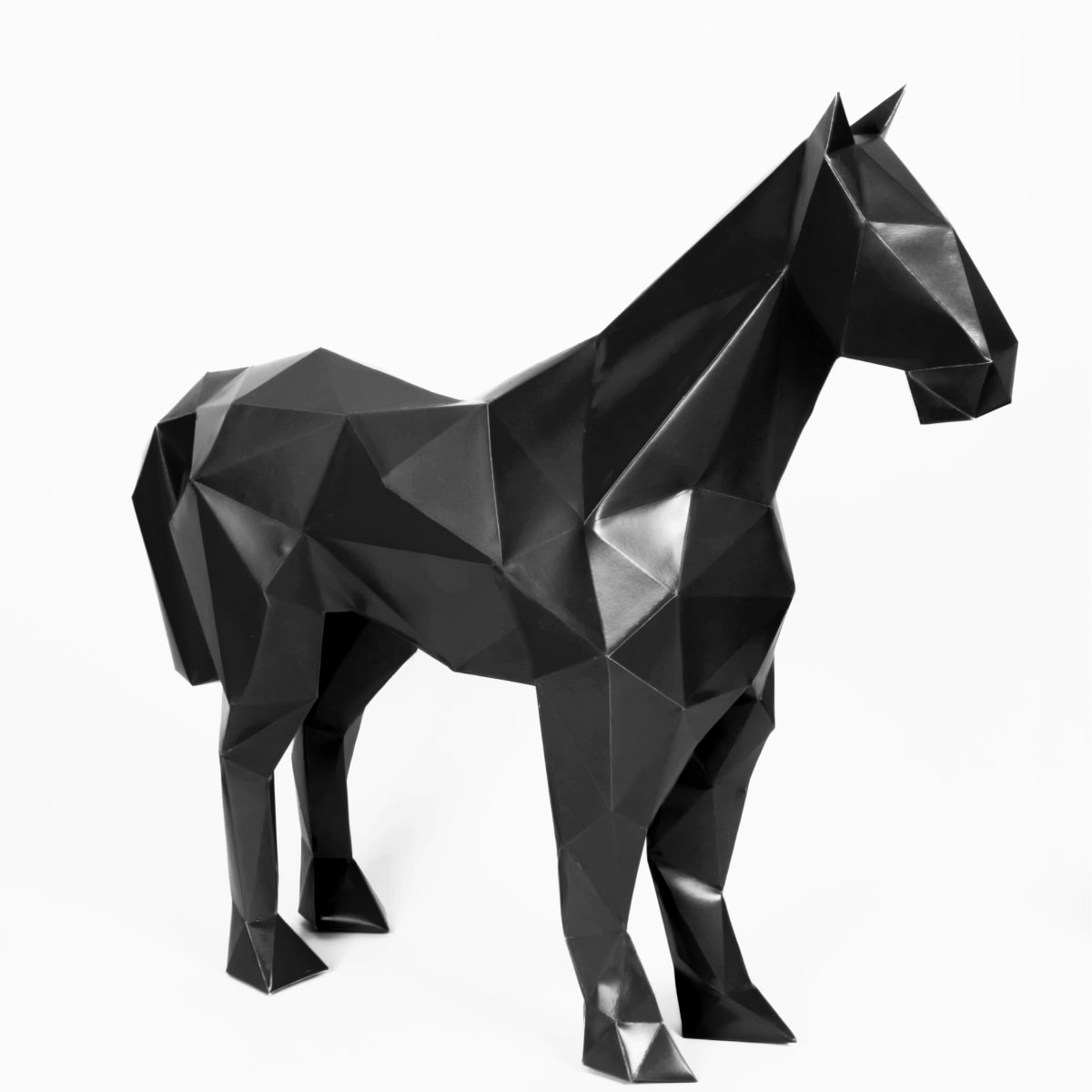 ROCINANTE3