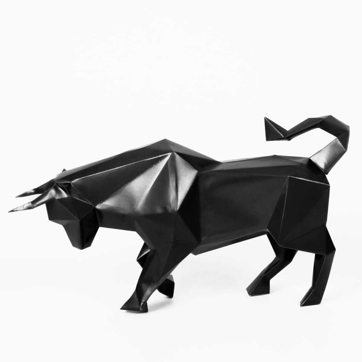 TORO DE LIDIA6