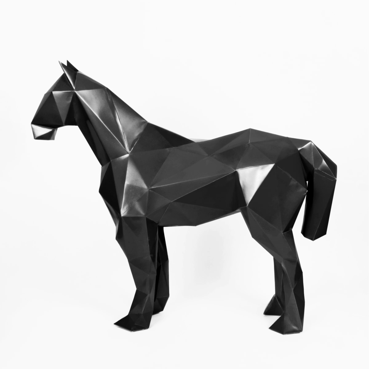 ROCINANTE6
