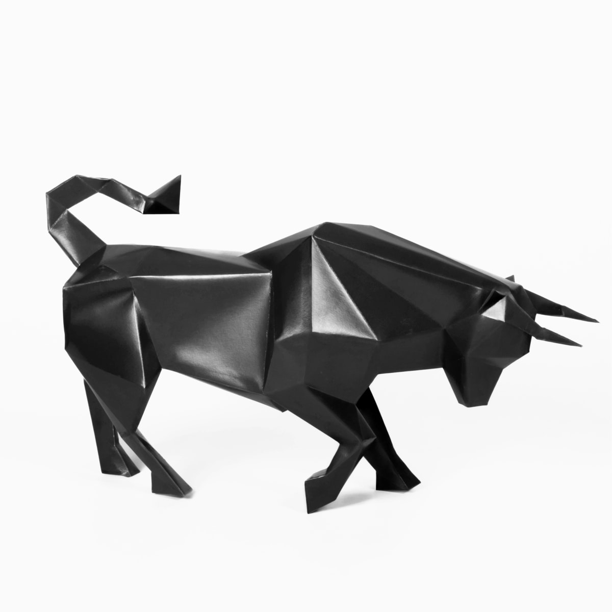 TORO DE LIDIA9