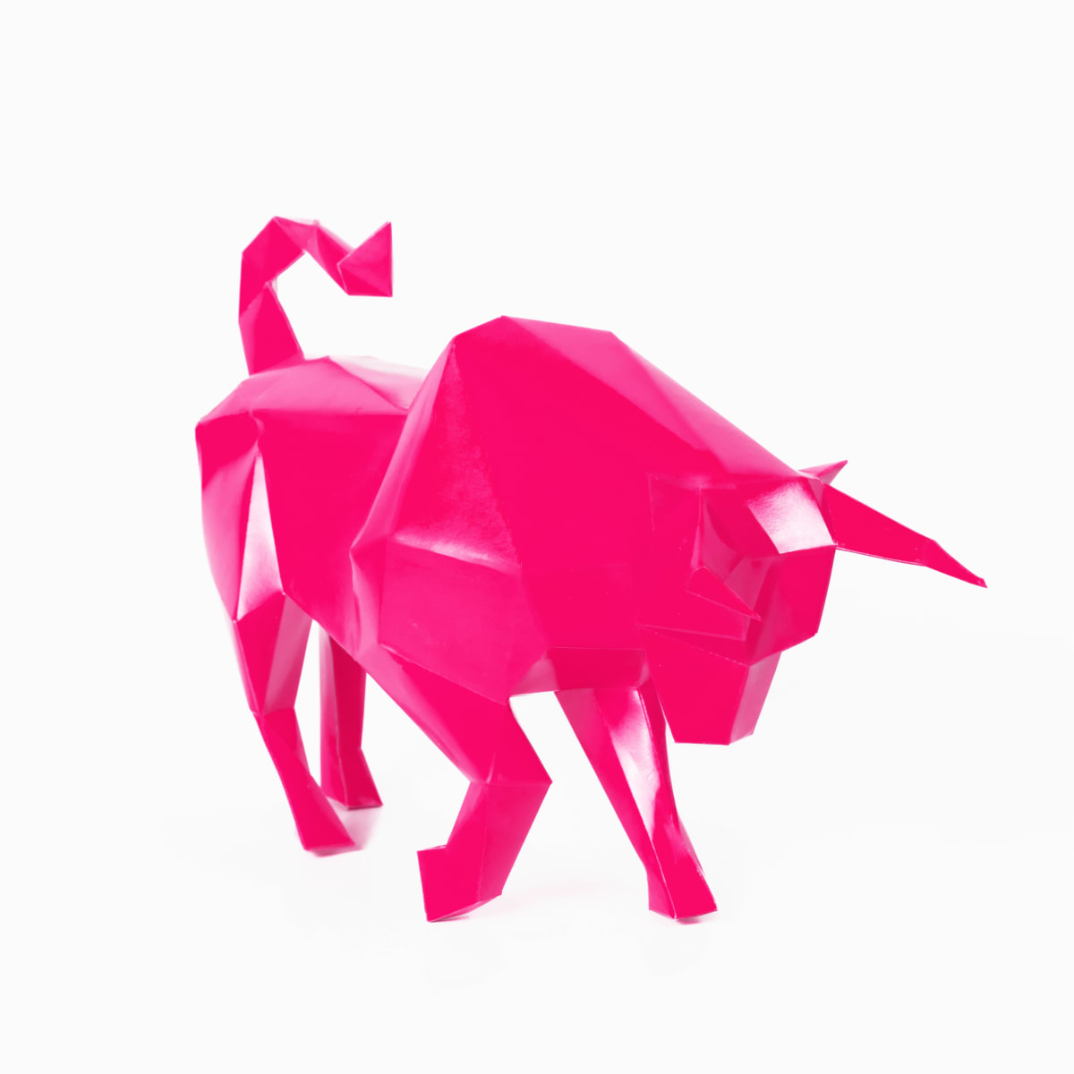 TORO DE LIDIA2