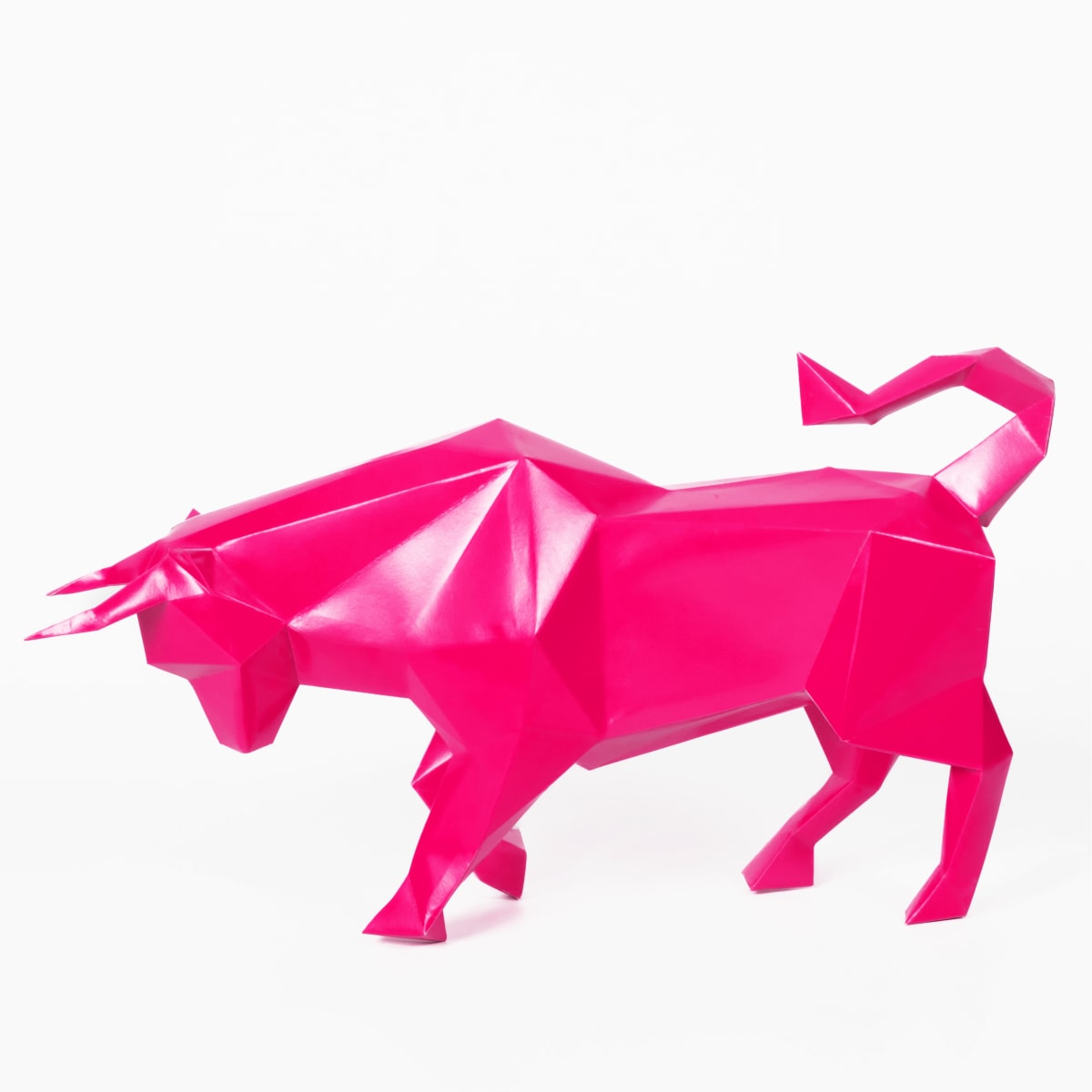 TORO DE LIDIA5