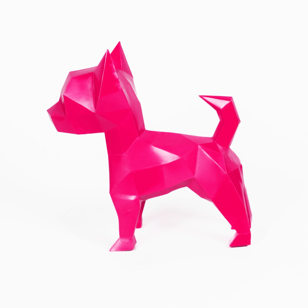 CHIHUAHUA TOY5