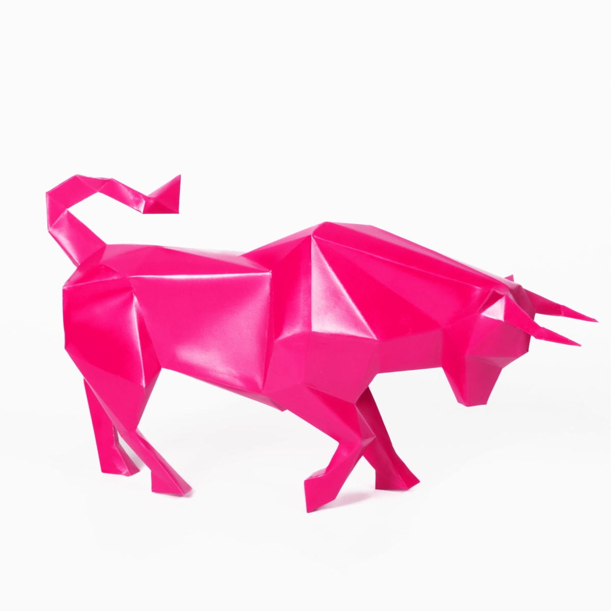 TORO DE LIDIA8