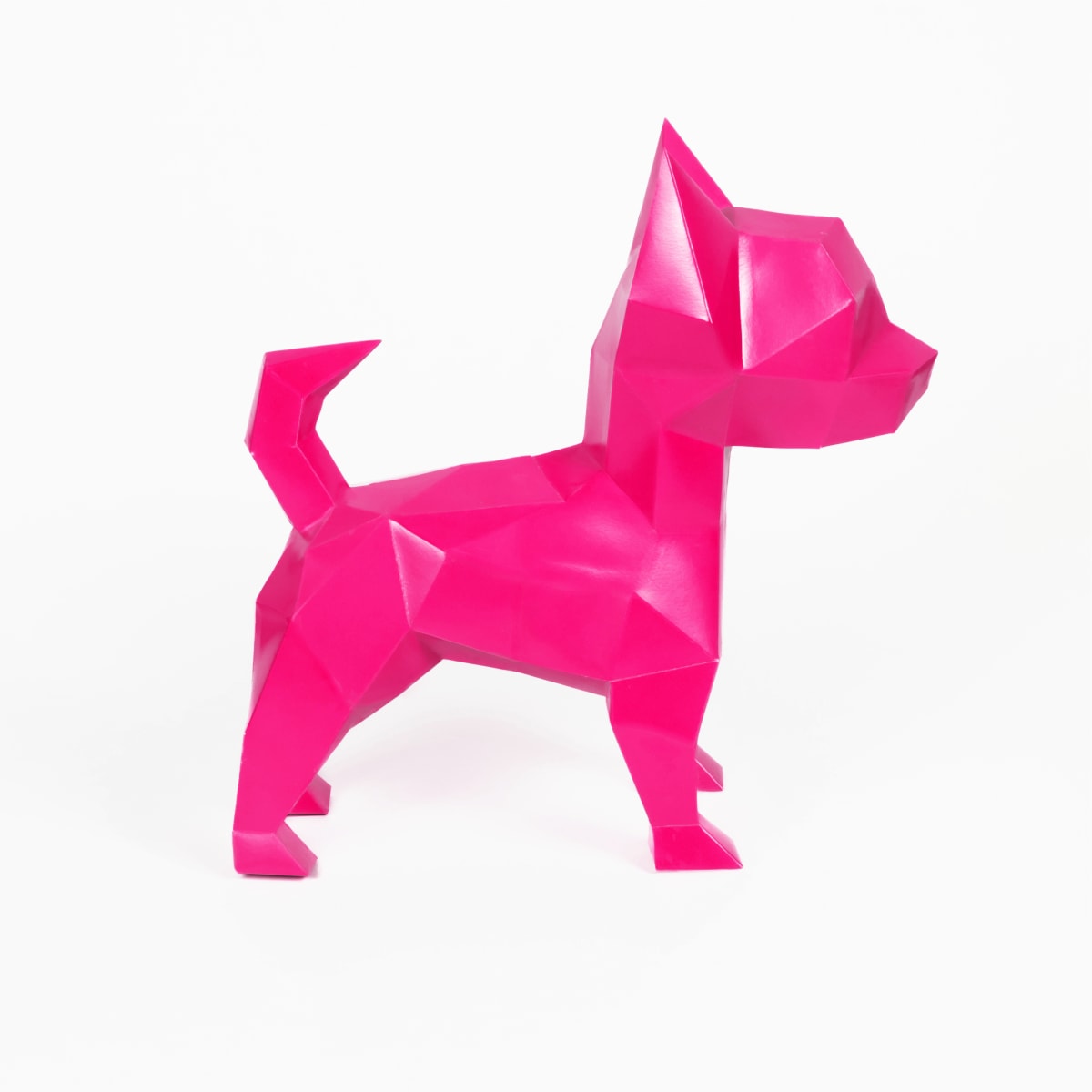 CHIHUAHUA TOY8