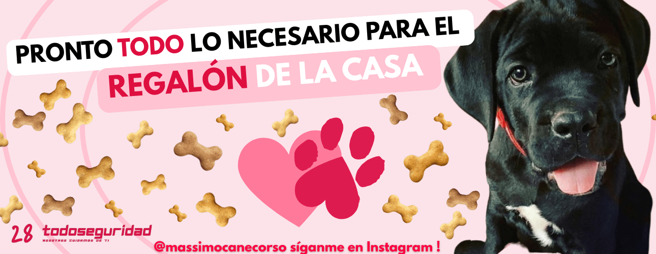 PRONTO !