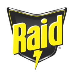 Raid Raid