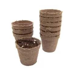 Maceta biodegradable 99cc