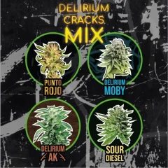 Mix delirium cracks auto x4 Delirium seeds