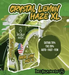 Crystal lemon haze xl auto x4 Delirium seeds