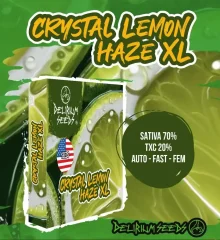 Crystal lemon haze xl fem x4 Delirium seeds