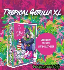 Tropical gorilla xl fem x4 Delirium seeds