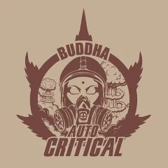 Critical classics auto x3+1 Buddha seeds