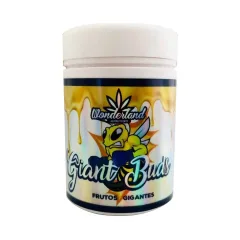 Giant buds pk52-34 120gr Wonderland
