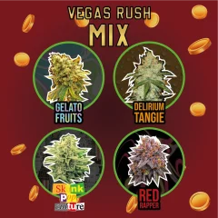 Mix vegas rush fem x4 Delirium seeds