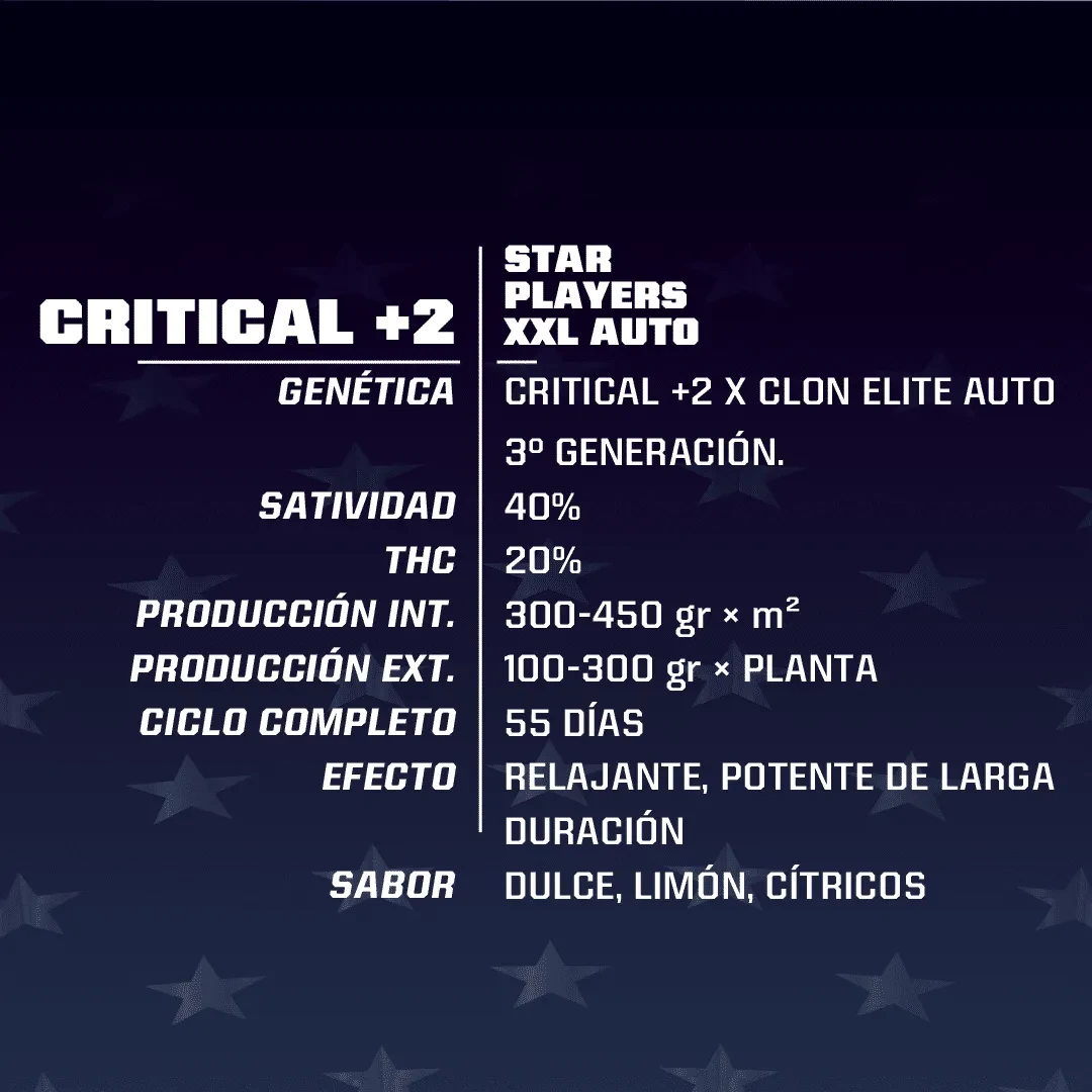 Critical +2 xxl auto x4 Bsf1
