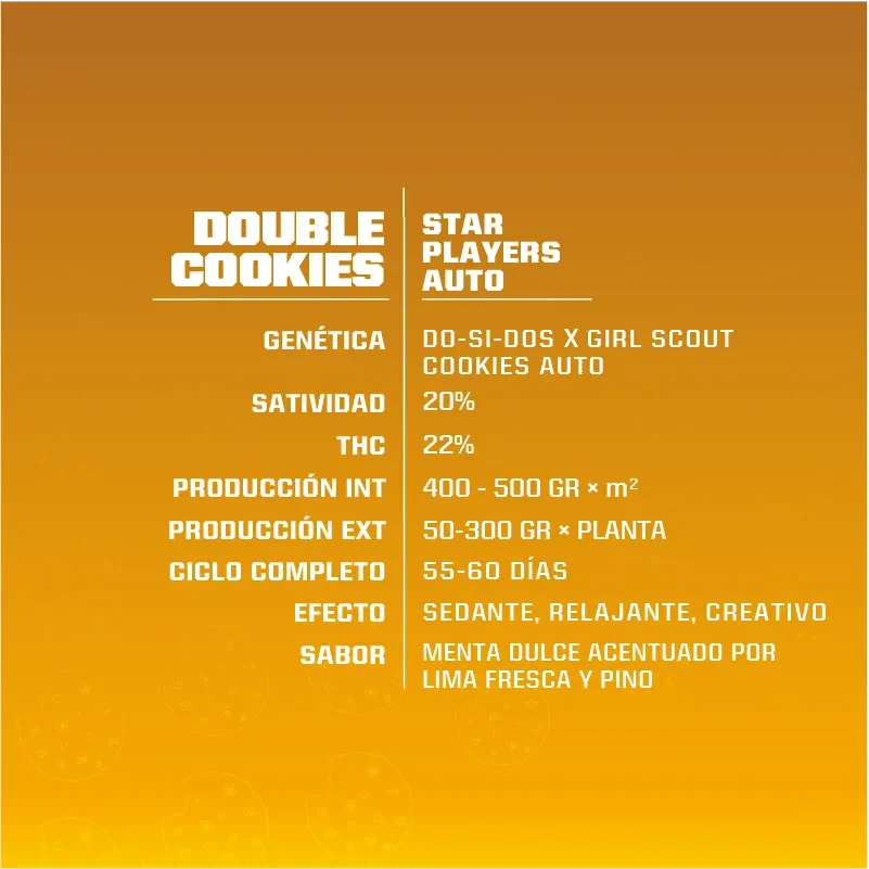 Double cookies sp auto x4 Bsf2