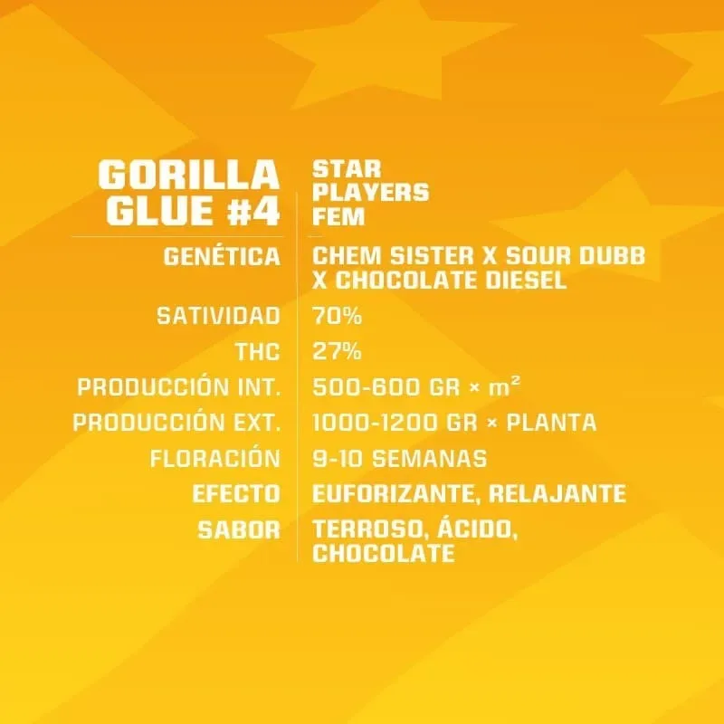 Gorilla glue n4 fem x4 Bsf1